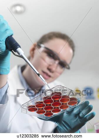 Stock Photography - Biological research. Fotosearch