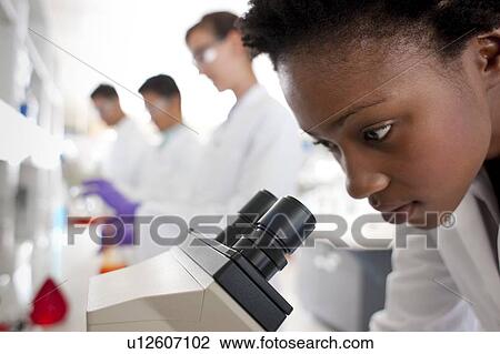 Biologists View Large Photo Image Stock Image - Biologists. Fotosearch