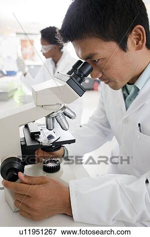 Biologists View Large Photo Image Stock Photo - Biologists. Fotosearch