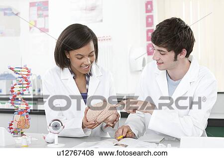 Biology lesson View Large Photo Image Stock Photo - Biology lesson. Fotosearch