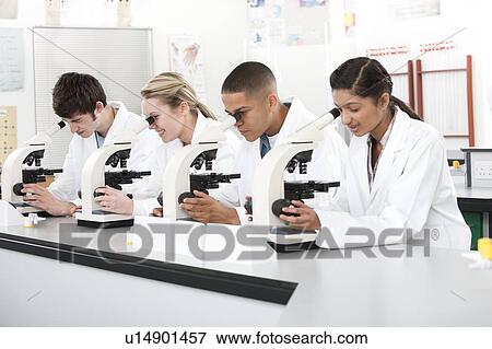 Stock Photo - Biology lesson. Fotosearch