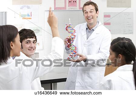 Biology lesson View Large Photo Image Stock Photo - Biology lesson. Fotosearch