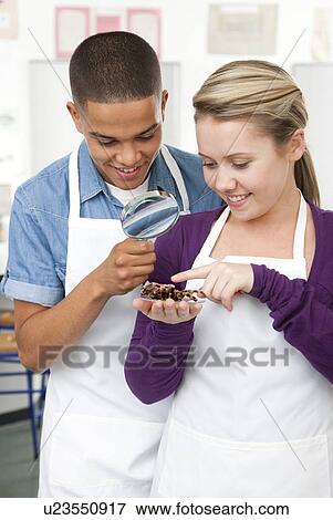 Stock Photo - Biology lesson. Fotosearch