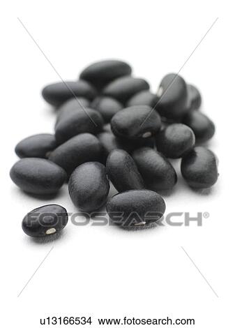 Black turtle beans View Large Photo Image Picture - Black turtle beans. Fotosearch