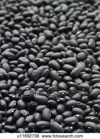 Stock Photo - Black turtle beans. Fotosearch