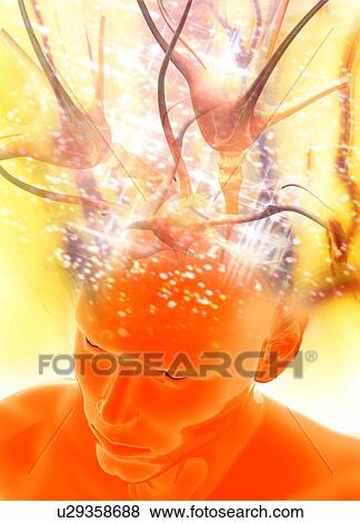 Brain activity, conceptual artwork View Large Photo Image Stock Photo - Brain activity, conceptual artwork. Fotosearch