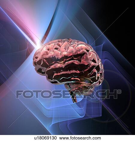 Brain research, conceptual artwork View Large Photo Image Stock Image - Brain research, conceptual artwork. Fotosearch