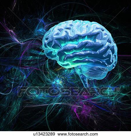 Brain research, conceptual artwork View Large Photo Image Stock Photo - Brain research, conceptual artwork. Fotosearch