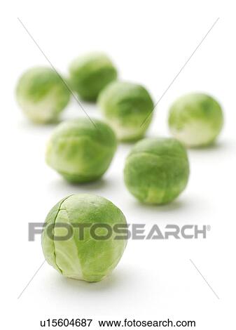 Stock Photo - Brussels sprouts. Fotosearch