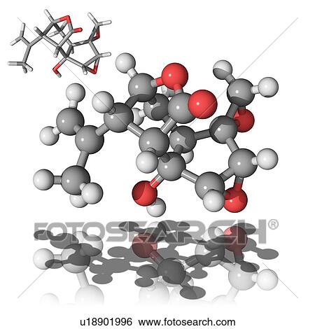 Coriamyrtin toxin molecule View Large Photo Image Stock Photograph - Coriamyrtin toxin molecule. Fotosearch