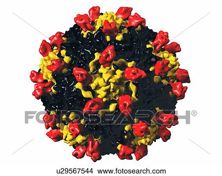 Picture - Coxsackie B3 virus particle. Fotosearch