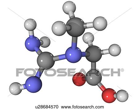 Creatine amino acid molecule View Large Photo Image Stock Image - Creatine amino acid molecule. Fotosearch
