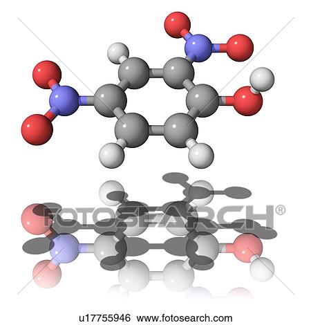 Dinitrophenol molecule View Large Photo Image Stock Photograph - Dinitrophenol molecule. Fotosearch