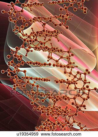 Stock Photo - DNA molecule, artwork. Fotosearch