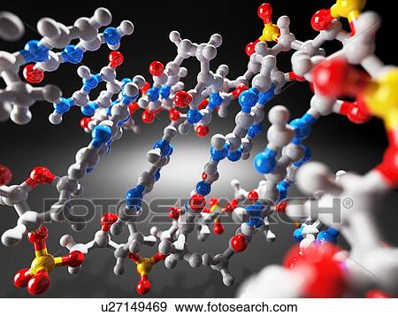 Stock Photo - DNA molecule, artwork. Fotosearch