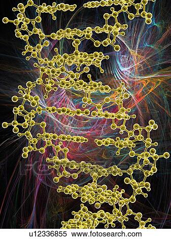 Stock Photography - DNA molecule, artwork. Fotosearch