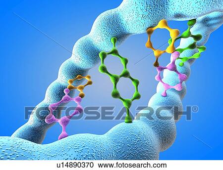 Stock Image - DNA molecule. Fotosearch