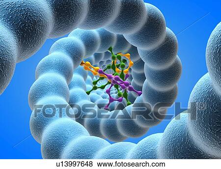 DNA molecule View Large Photo Image Stock Photo - DNA molecule. Fotosearch