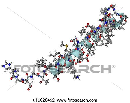 Exendin-4 diabetes drug molecule View Large Photo Image Stock Image - Exendin-4 diabetes drug molecule. Fotosearch
