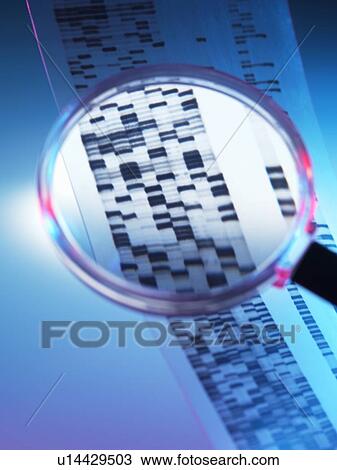 Stock Image - Genetic analysis, conceptual image. Fotosearch