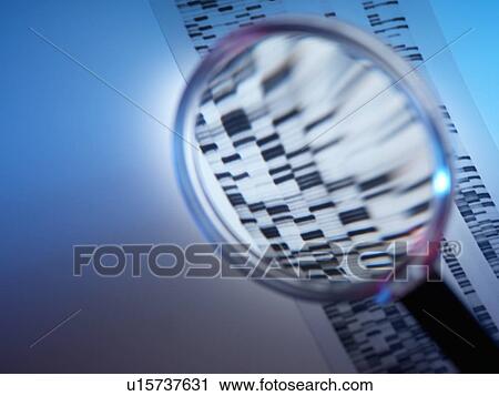 Genetic analysis, conceptual image View Large Photo Image Stock Image - Genetic analysis, conceptual image. Fotosearch