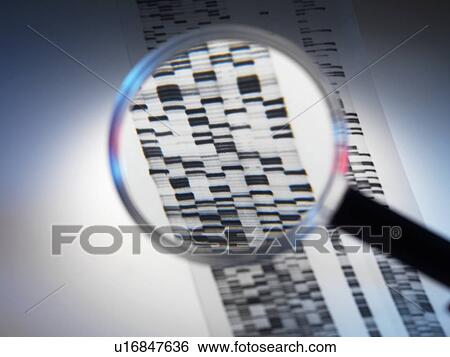 Genetic analysis, conceptual image View Large Photo Image Stock Photograph - Genetic analysis, conceptual image. Fotosearch
