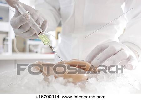 Picture - Genetically modified meat. Fotosearch