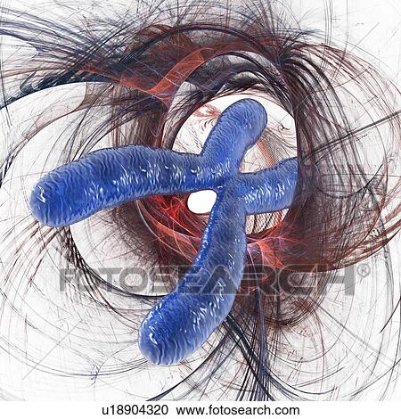 Stock Image - Genetics research, conceptual artwork. Fotosearch