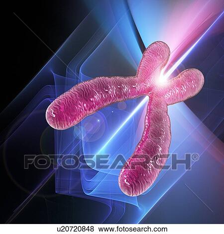 Genetics research, conceptual artwork View Large Photo Image Stock Photo - Genetics research, conceptual artwork. Fotosearch