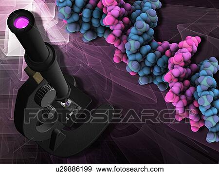 Stock Photo - Genetics research, conceptual artwork. Fotosearch
