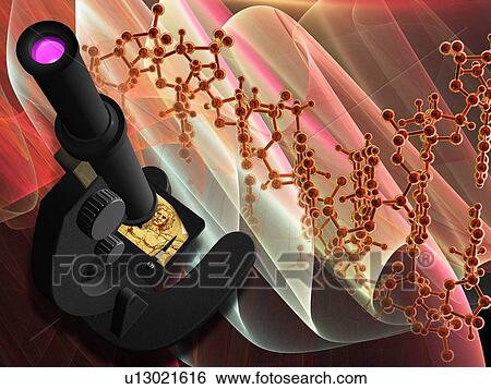 Stock Photograph - Genetics research, conceptual artwork. Fotosearch