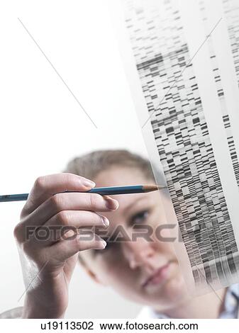 Genetics research View Large Photo Image Stock Image - Genetics research. Fotosearch