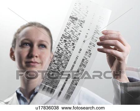 Genetics research View Large Photo Image Stock Photo - Genetics research. Fotosearch