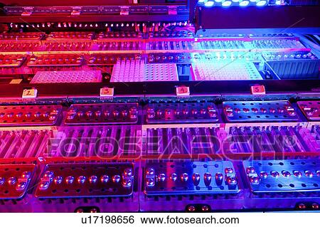 Genome sequencing machine View Large Photo Image Stock Photograph - Genome sequencing machine. Fotosearch