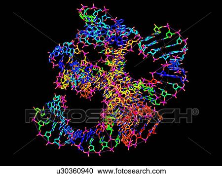 Hammerhead ribozyme molecule View Large Photo Image Stock Image - Hammerhead ribozyme molecule. Fotosearch