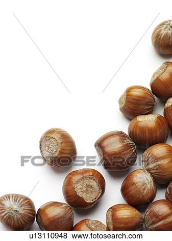Stock Photo - Hazelnuts. Fotosearch