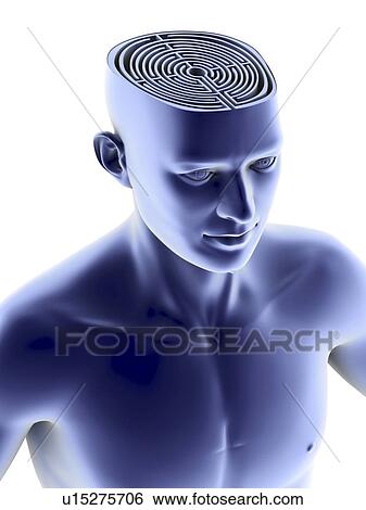 Head with maze View Large Photo Image Stock Photograph - Head with maze. Fotosearch