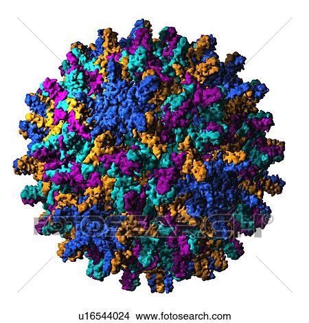 Hepatitis B virus particle View Large Photo Image Picture - Hepatitis B virus particle. Fotosearch
