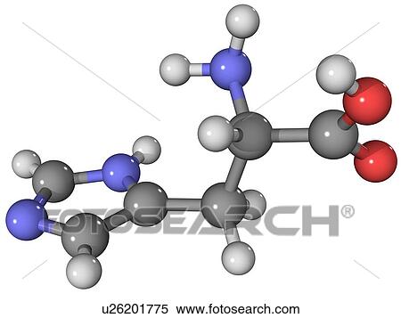 Histidine amino acid molecule View Large Photo Image Stock Photography - Histidine amino acid molecule. Fotosearch