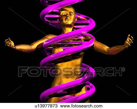 Human genome, conceptual artwork View Large Photo Image Stock Image - Human genome, conceptual artwork. Fotosearch