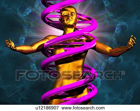Stock Photo - Human genome, conceptual artwork. Fotosearch