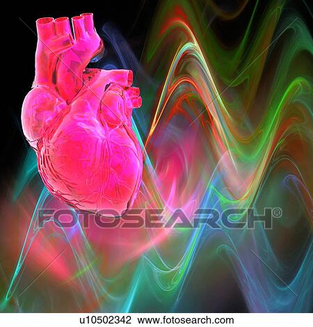 Stock Image - Human heart, artwork. Fotosearch