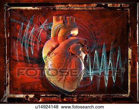 Human heart, artwork View Large Photo Image Stock Photo - Human heart, artwork. Fotosearch