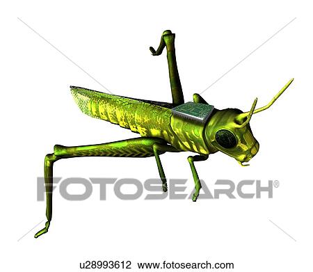 Stock Image - Insect spy, conceptual artwork. Fotosearch