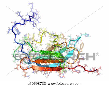 Japanese encephalitis virus protein View Large Photo Image Stock Image - Japanese encephalitis virus protein. Fotosearch
