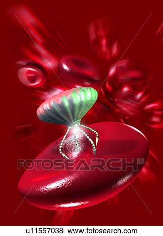 Stock Photo - Medical nanorobot, artwork. Fotosearch