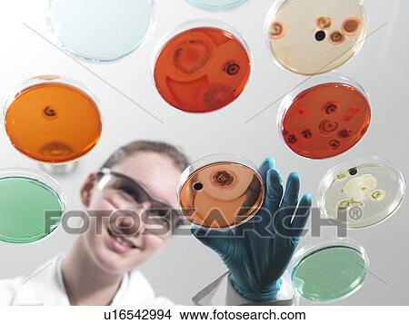 Microbiology research View Large Photo Image Picture - Microbiology research. Fotosearch