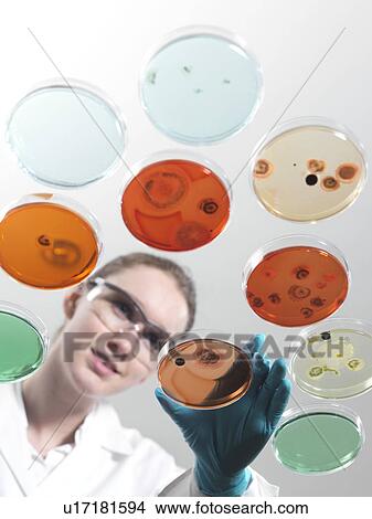 Picture - Microbiology research. Fotosearch