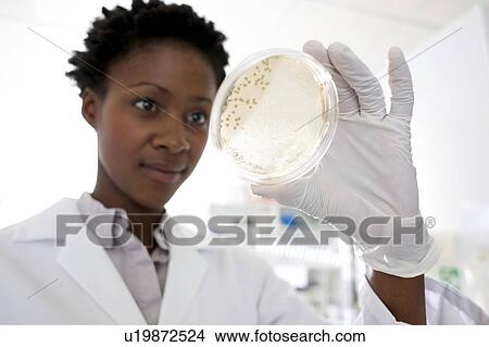Microbiology research View Large Photo Image Picture - Microbiology research. Fotosearch