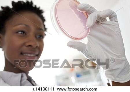 Microbiology research View Large Photo Image Stock Image - Microbiology research. Fotosearch